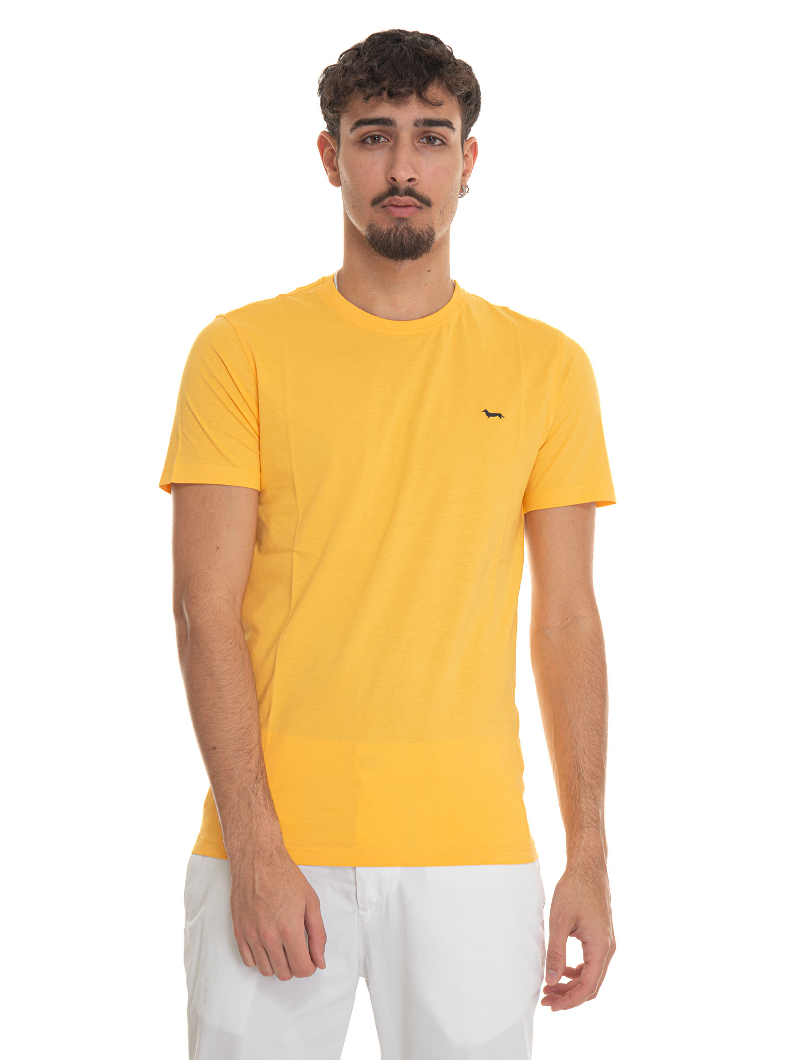Shop Harmont & Blaine Inl001 Short-sleeved Round-necked T-shirt In Yellow