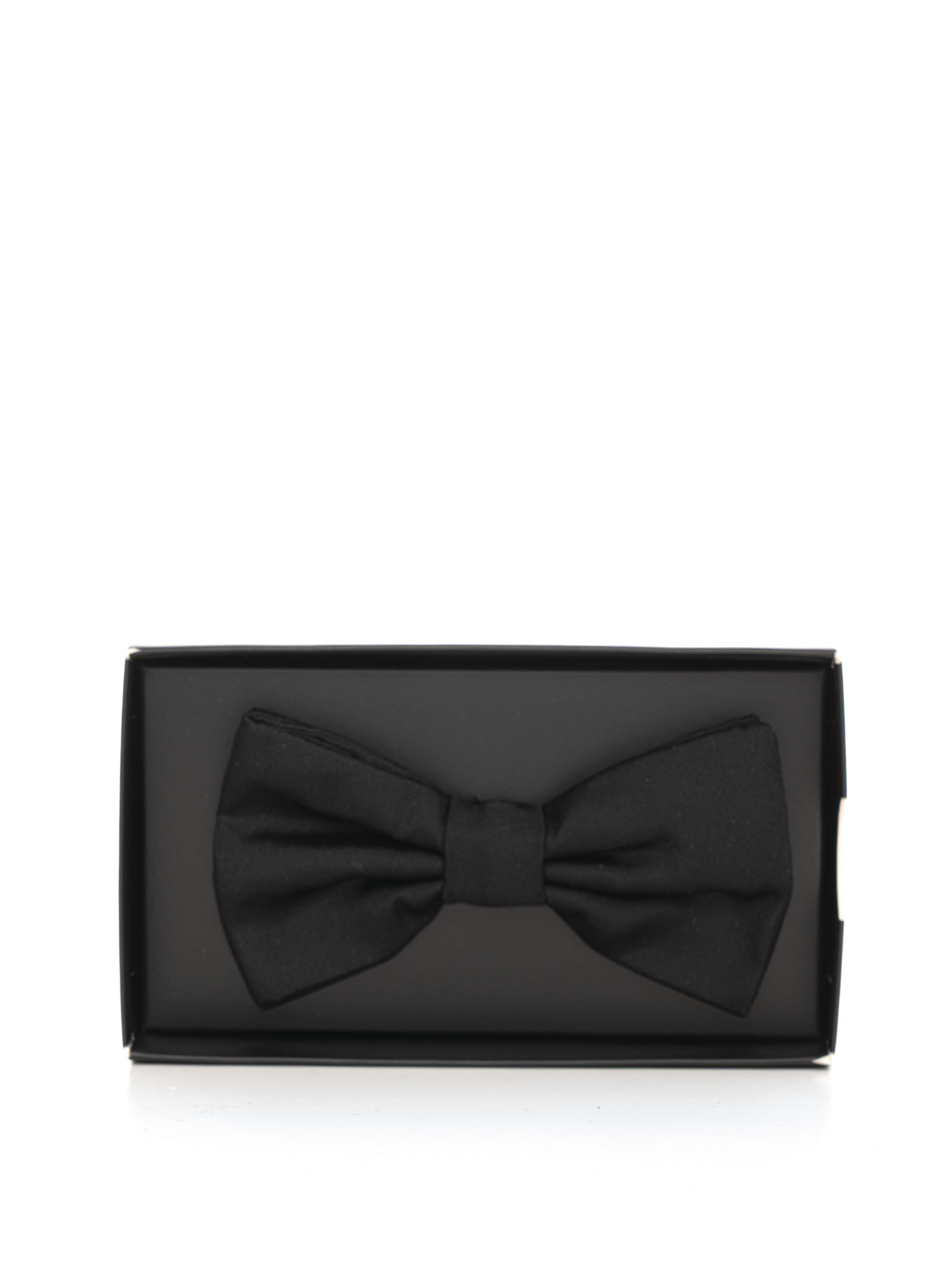 Papillon H-BOW-TIE